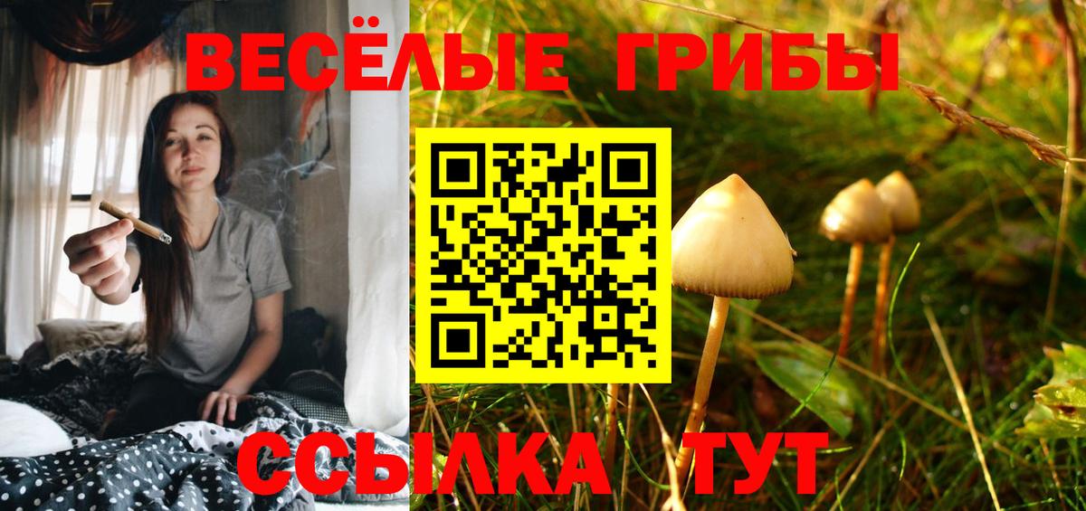 Псилоцибиновые грибы мухоморы Абакан